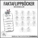 Faktaflippbok | Skogsdjur (Skriva faktatexter)