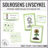 Solrosens livscykel och delar