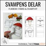 Svampens delar