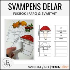 Svampens delar