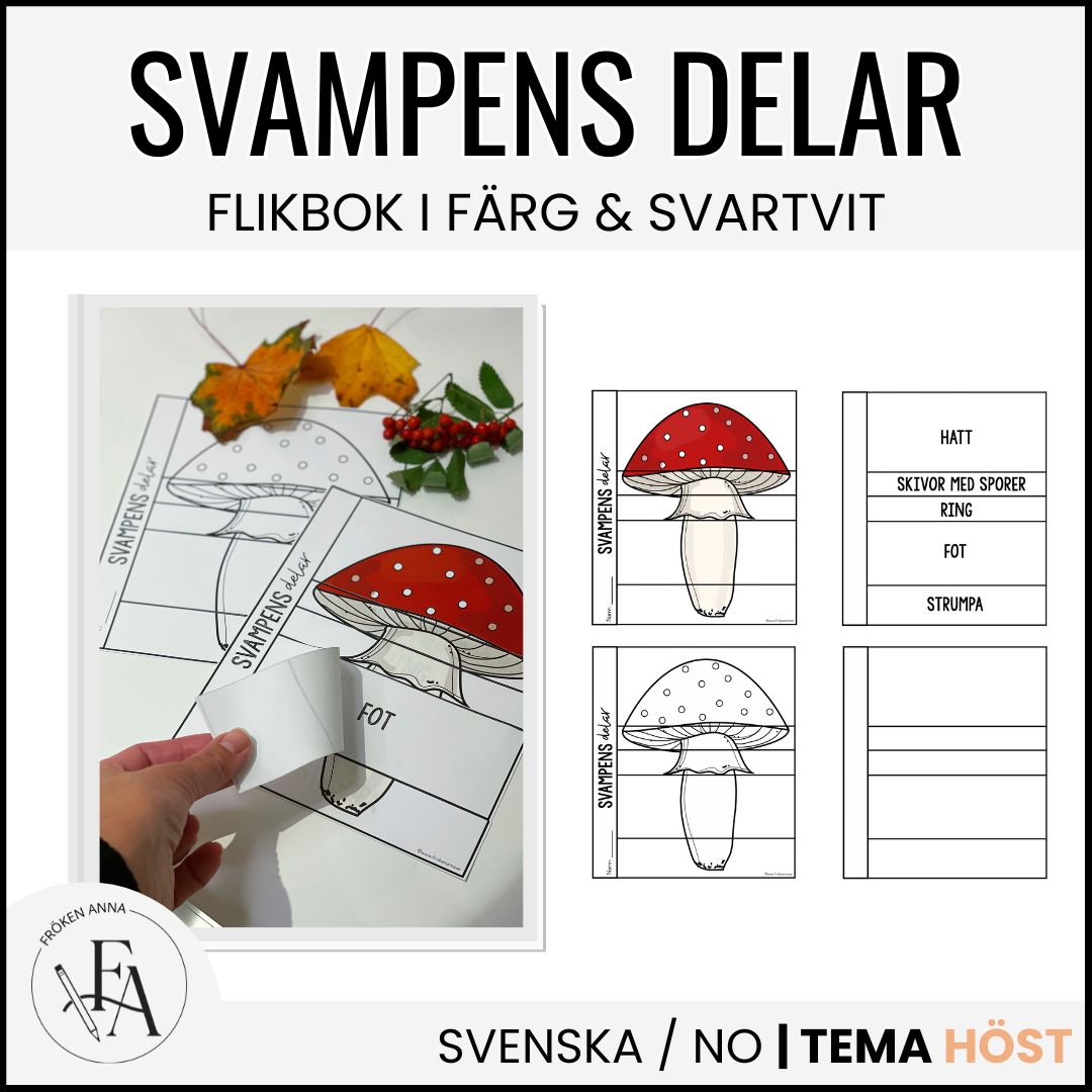 Svampens delar