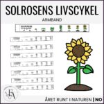 Armband - solrosens livscykel