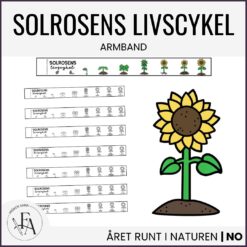 Armband - solrosens livscykel
