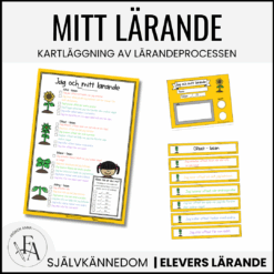 Mitt lärande