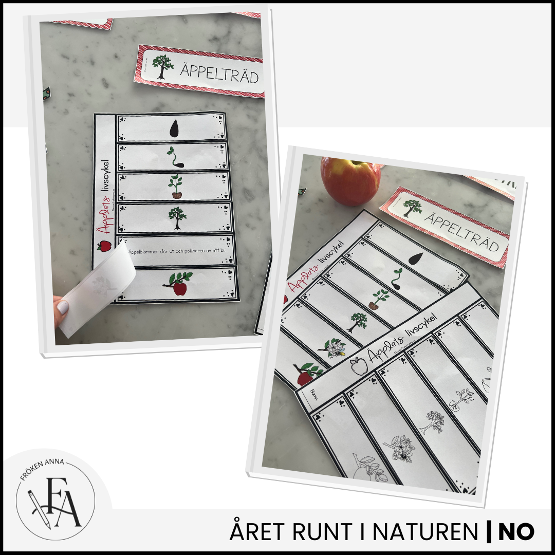 Paket: Äpplet