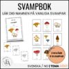 Svampbok