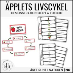 Äpplets livscykel
