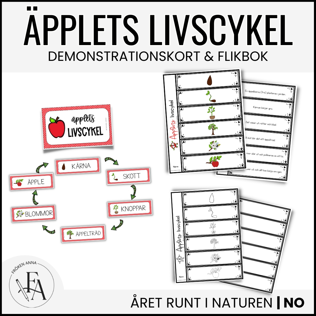 Äpplets livscykel