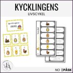 Kycklingens livscykel – bildstöd & flippböcker