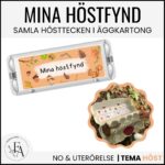 Mina höstfynd - Samla hösttecken i en äggkartong