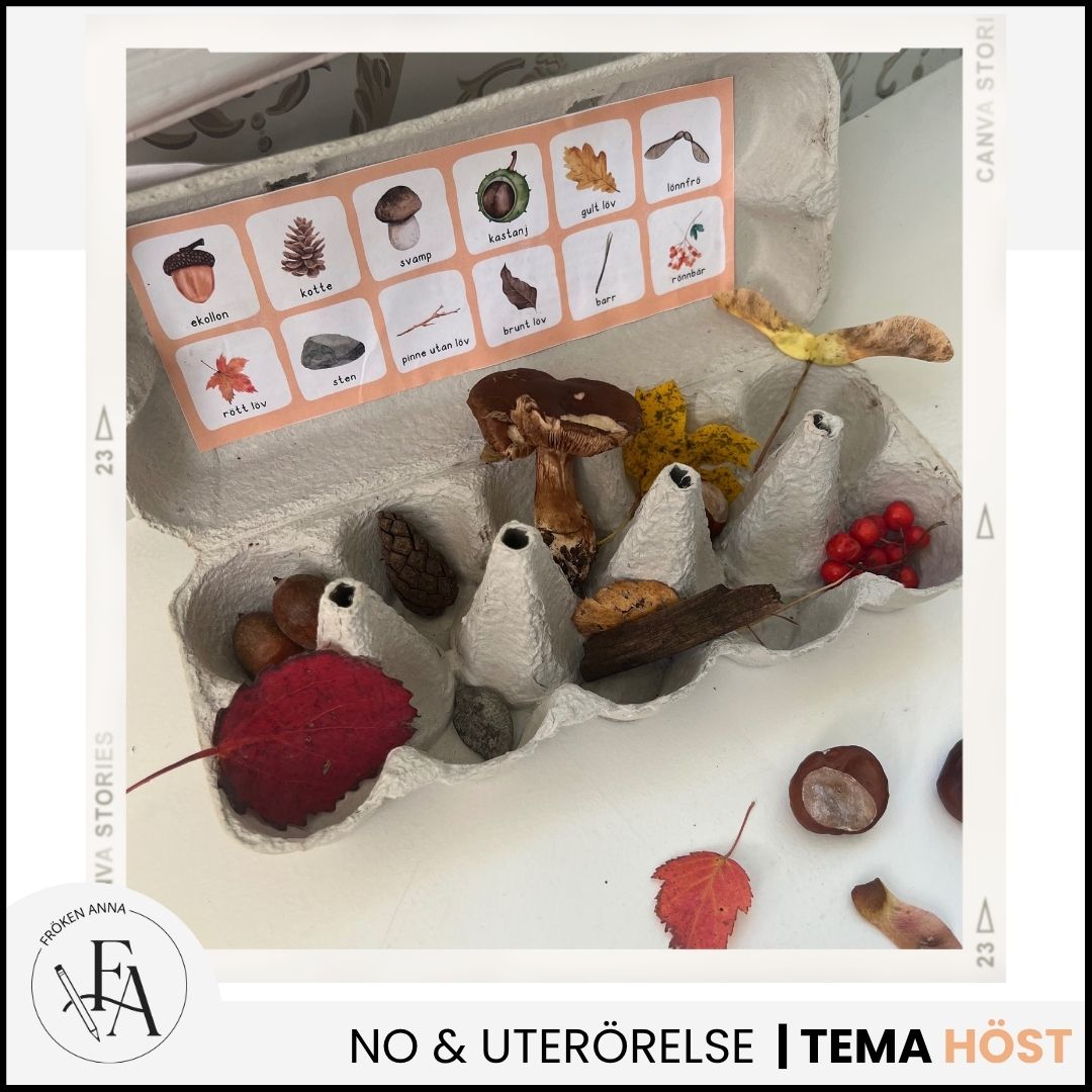 Mina höstfynd - Samla hösttecken i en äggkartong