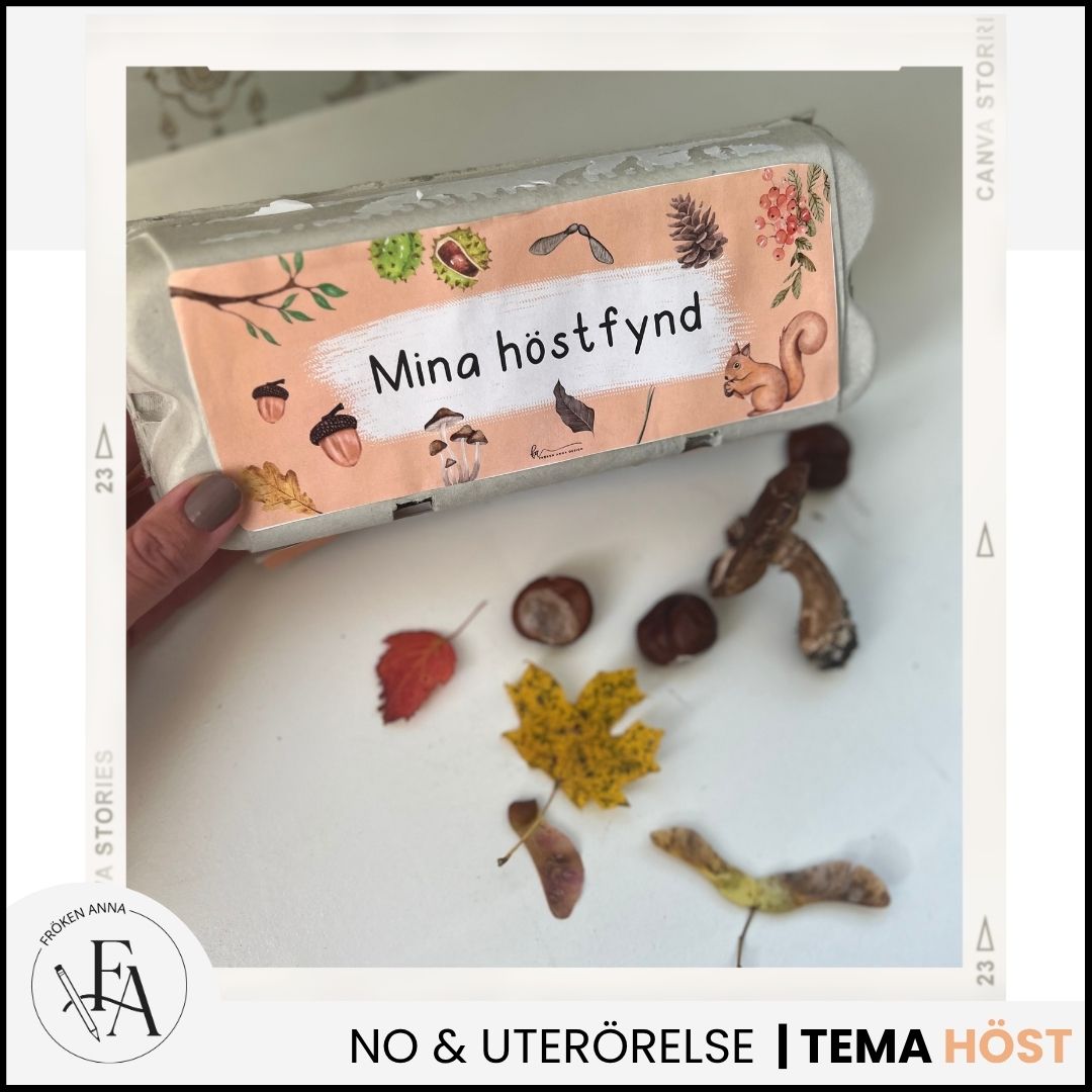 Mina höstfynd - Samla hösttecken i en äggkartong