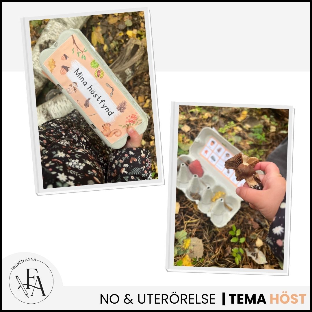 Mina höstfynd - Samla hösttecken i en äggkartong