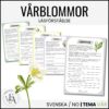 Läsförståelse vårblommor