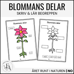Skriv och fyll i - blommans delar