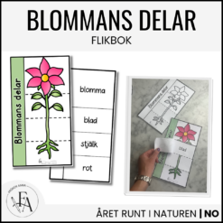 Flikbok - blommans delar