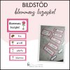 Bildstöd: blommans livscykel