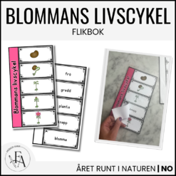 Flikbok - blommans livscykel