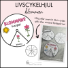Blommans livscykel (snurra / hjul)