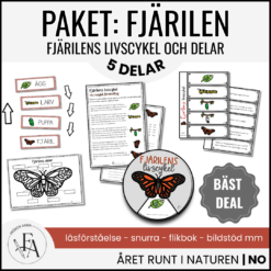 PAKET: Fjärilens livscykel & delar