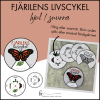 Fjärilens livscykel: hjul / snurra