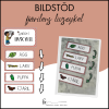 Fjärilens livscykel: Bildstöd