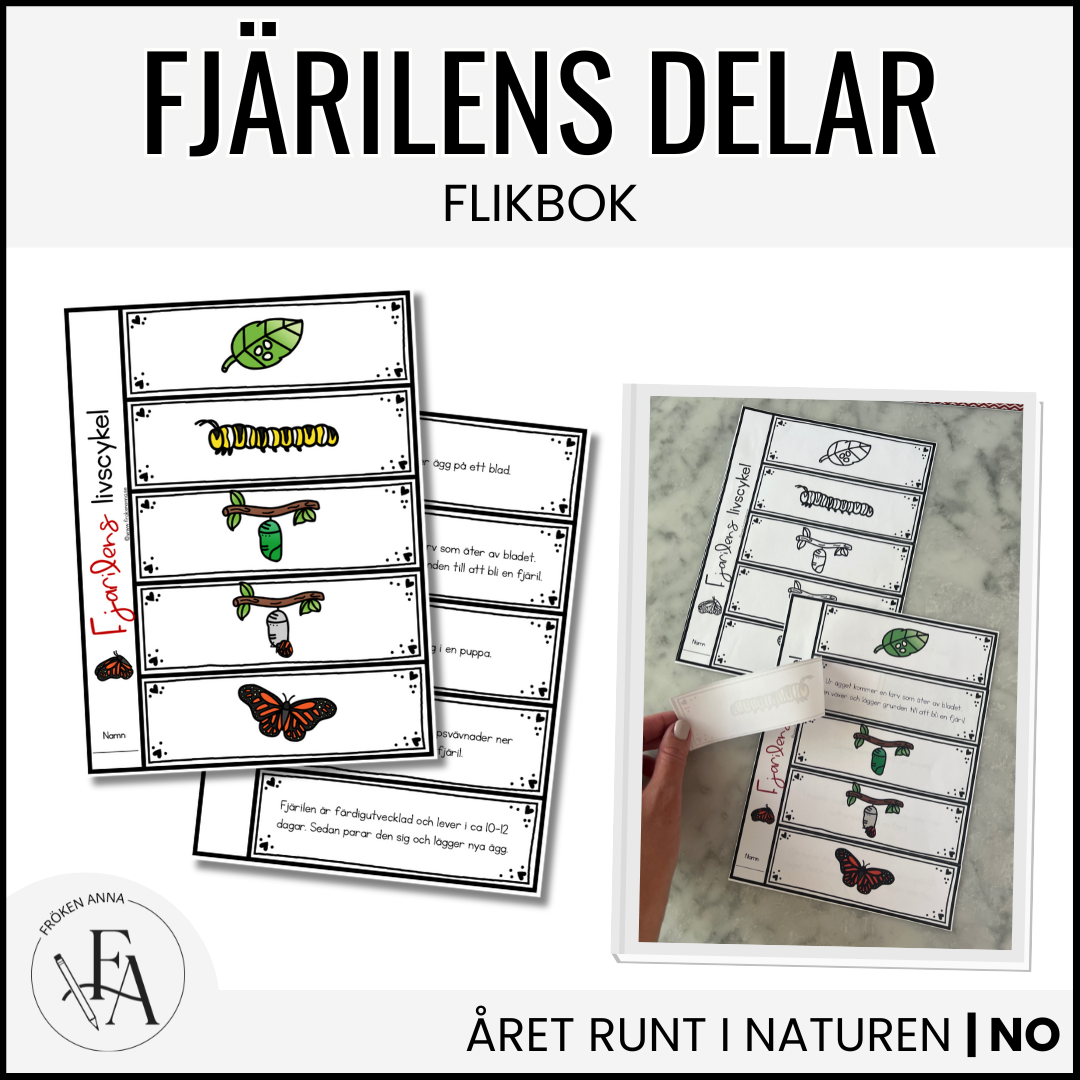 Fjärilens livscykel: Flikbok