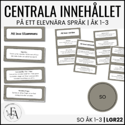 Centrala innehållet åk 1-3 på ett elevnära språk: SO