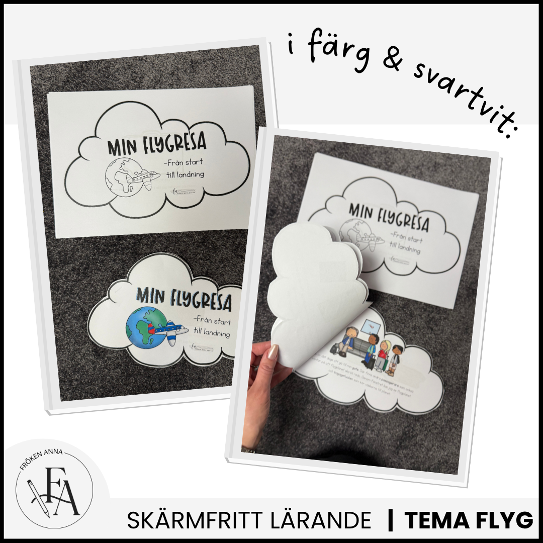 STORA paketet – Allt till flygresan