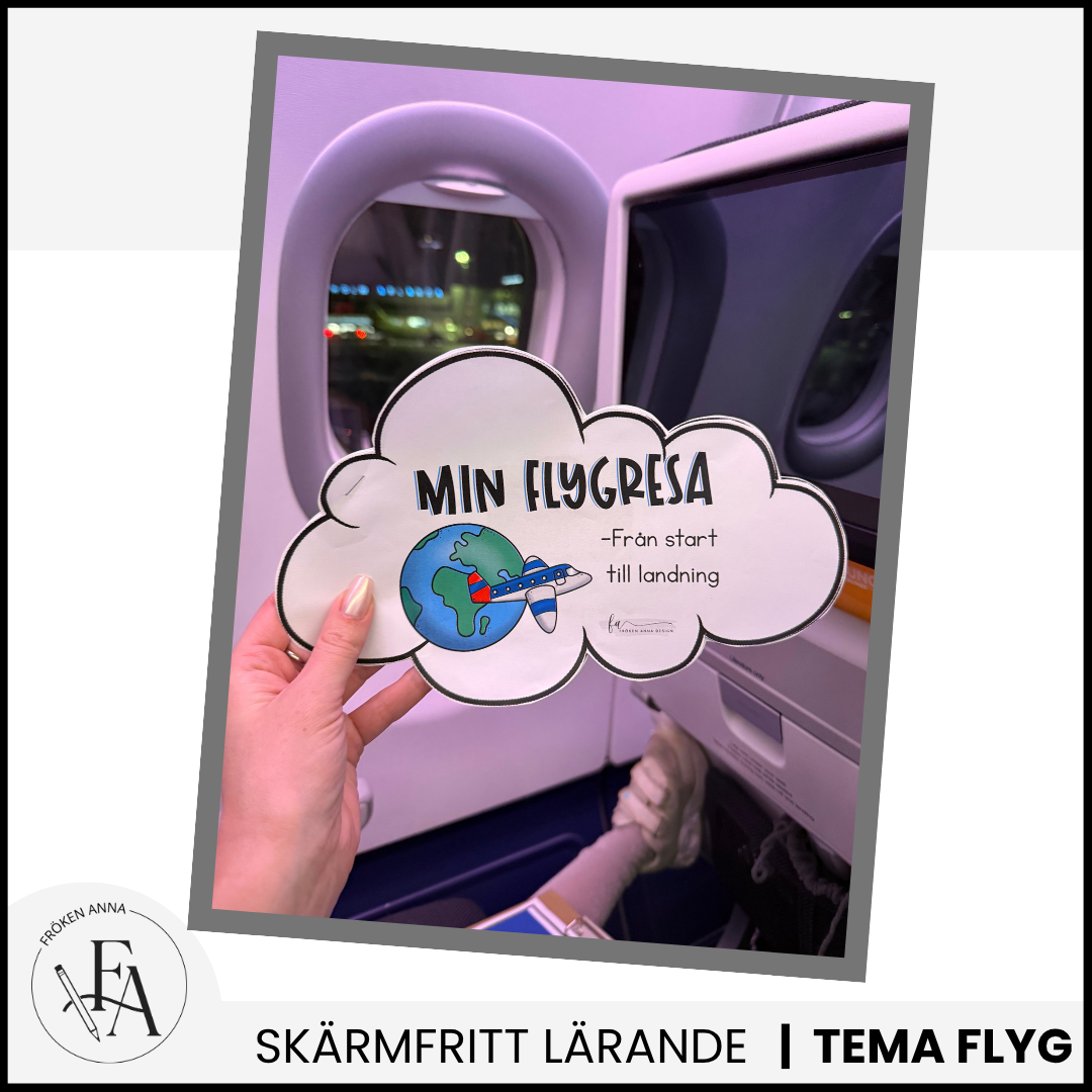 STORA paketet – Allt till flygresan