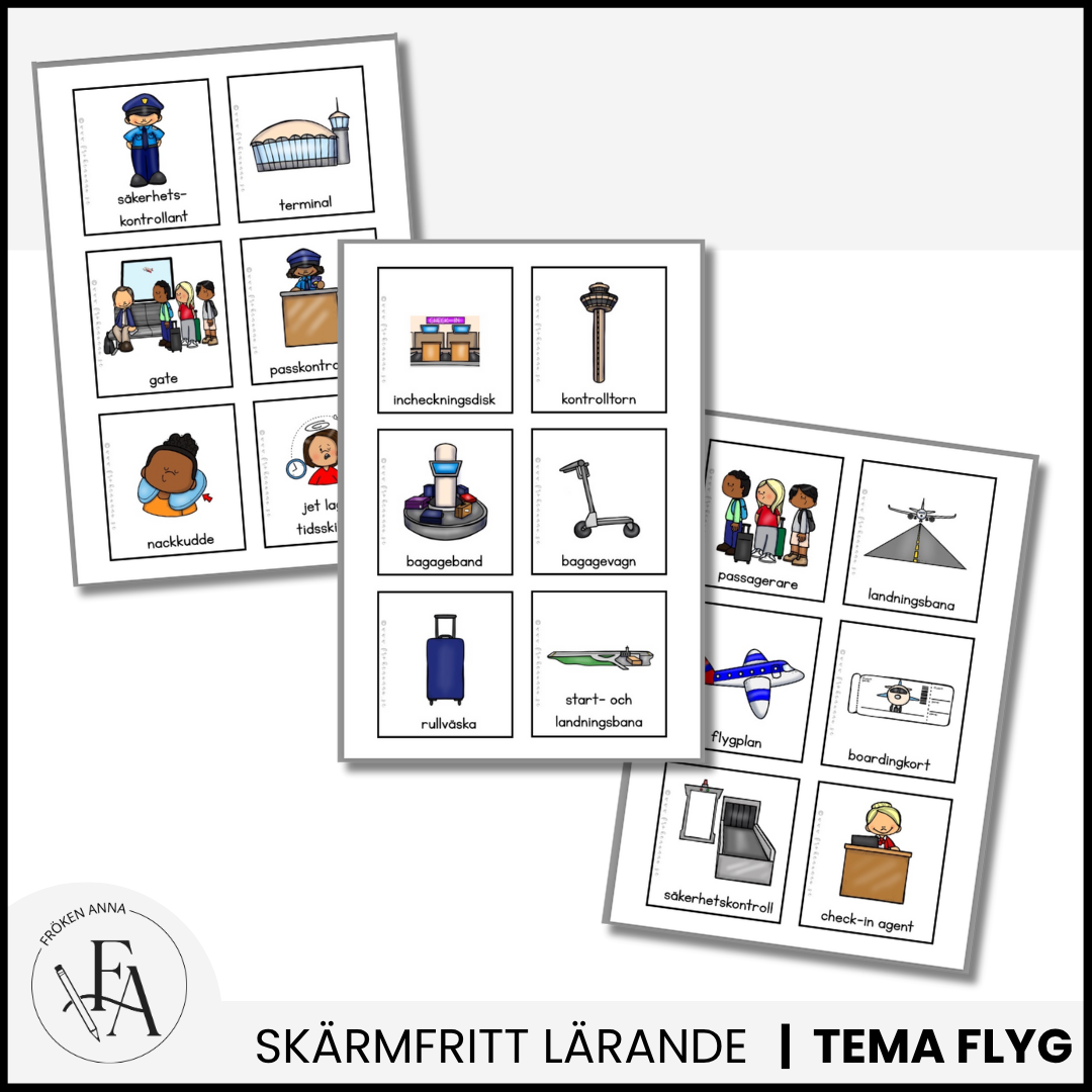 STORA paketet – Allt till flygresan