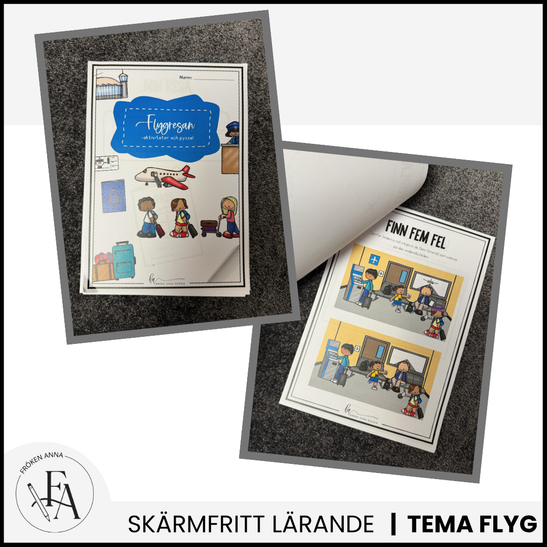 STORA paketet – Allt till flygresan