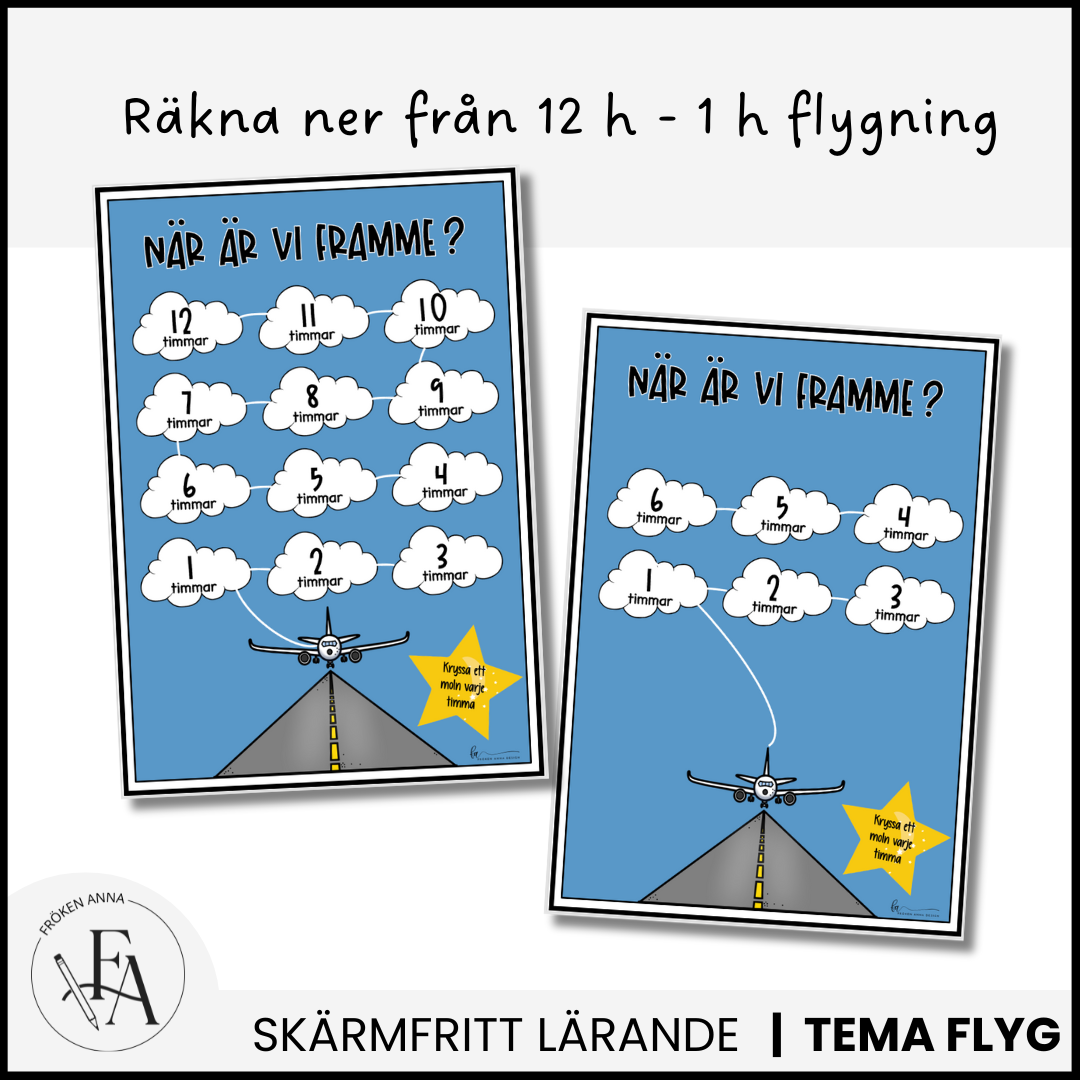 STORA paketet – Allt till flygresan