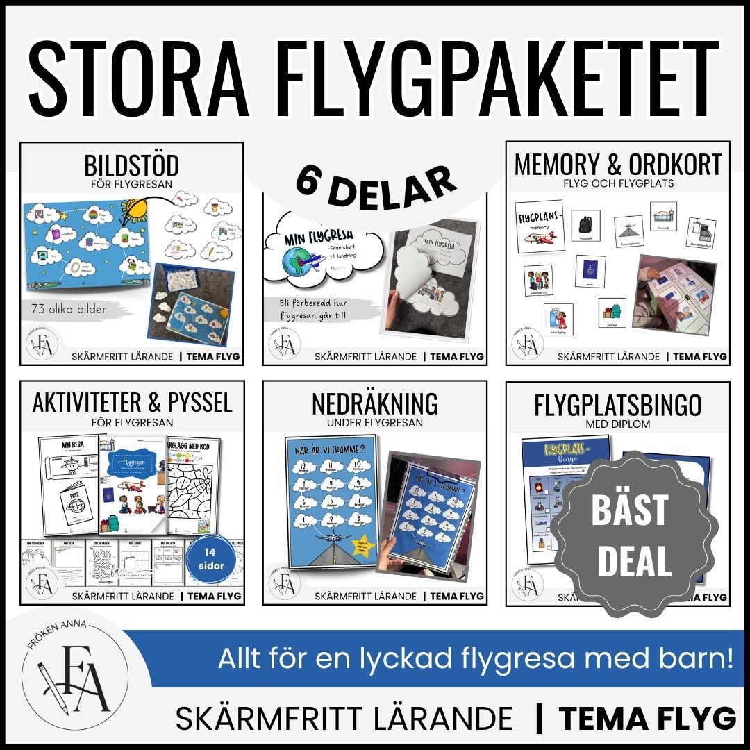 STORA paketet – Allt till flygresan