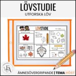 Lövstudie: Utforska löv
