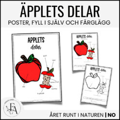 Äpplets delar