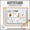 Kottstudie: Utforska kottar