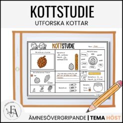 Kottstudie: Utforska kottar